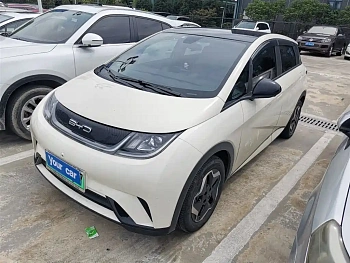 Dolphin 2021 model 405km fashion version купить по цене 1 832 771 ₽  на сайте DeffCars