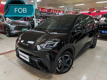 Seagull 2023 Flying Edition Seagull 2023 Flying Edition купить по цене 1 728 107 ₽  на сайте DeffCars