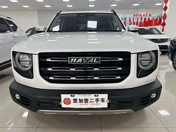 Haval Big Dog 2021 1.5T DCT Two-wheel drive Horse Dog-Wangcai Edition купить по цене 1 847 375 ₽  на сайте DeffCars