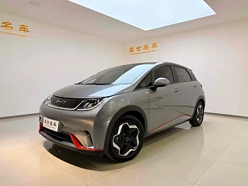 Dolphin 2021 model 405km fashion version купить по цене 1 817 957 ₽  на сайте DeffCars