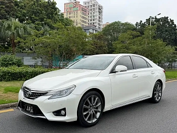 Ruizhi 2013 2.5V Shangrui version купить на сайте DeffCars