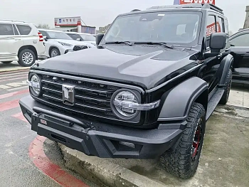 Tank 300 2024 2.0T Conqueror купить на сайте DeffCars