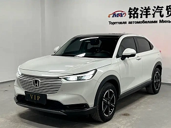 Binzhi 2023 1.5L CVT Pioneer Edition купить на сайте DeffCars