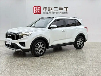 Zhipao 2021 Ace 2.0L Wonderful Edition купить на сайте DeffCars