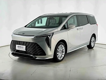 Century 2025 2.0T Six-seater Yuanshi Edition купить на сайте DeffCars
