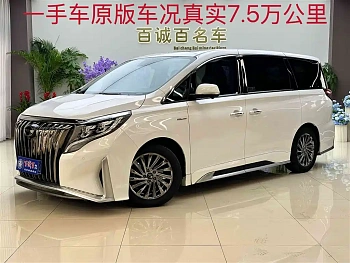 Trumpchi M8 2021 Master Series 390T Extreme Edition купить на сайте DeffCars
