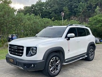 Haval Big Dog 2021 2.0T DCT four-wheel drive Chinese pastoral dog version купить по цене 2 127 952 ₽  на сайте DeffCars