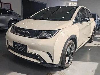 Dolphin 2023 model 420km fashion version купить по цене 1 912 731 ₽  на сайте DeffCars