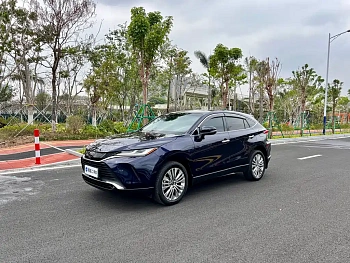 Lingfang HARRIER 2022 2.0L CVT two-wheel drive exclusive version купить на сайте DeffCars