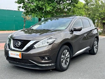 Loulan 2019 2.5L XL 2WD Intelligent Deluxe Edition National VI купить на сайте DeffCars