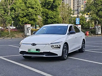 Mingtu New Energy 2021 GLX Elite Edition купить на сайте DeffCars