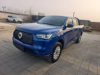 Cannon 2019 2.0T commercial version automatic gasoline two-wheel drive elite long box GW4C20B купить на сайте DeffCars