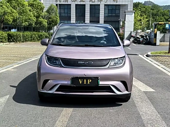 Dolphin 2021 model 405km fashion version купить по цене 1 932 450 ₽  на сайте DeffCars