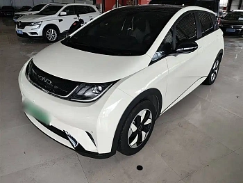 Dolphin 2025 model 420km fashion version купить по цене 2 194 406 ₽  на сайте DeffCars