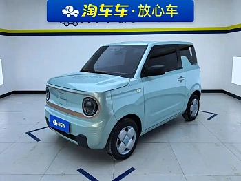 Panda 2024 Panda mini 200km endurance bear купить на сайте DeffCars