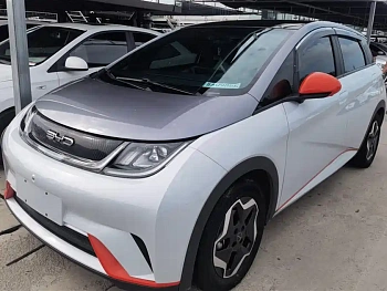 Dolphin 2021 model 405km fashion version купить по цене 1 821 280 ₽  на сайте DeffCars