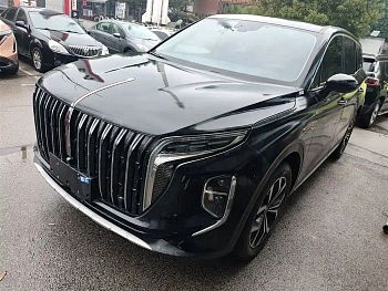 Hongqi HS7 2024 2.0T automatic two-wheel drive Qiyue version, five seats купить на сайте DeffCars