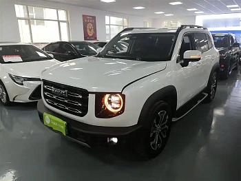 Haval Big Dog 2021 1.5T DCT Two-wheel drive Border Horse - Wangcai Edition купить по цене 1 960 827 ₽  на сайте DeffCars