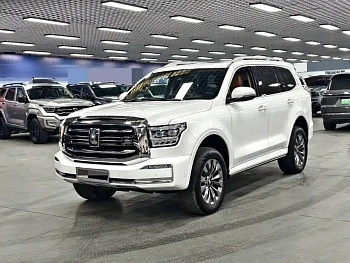 Tank 500 2023 model 3.0T sports version, environment type, 5 seats купить на сайте DeffCars