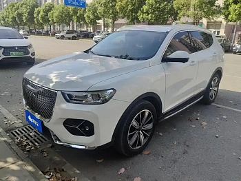 Haval H6 2021 2.0GDIT Automatic Champion Edition купить по цене 1 873 215 ₽  на сайте DeffCars