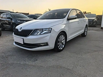 Xinrui 2019 1.5L automatic comfort version National VI купить на сайте DeffCars