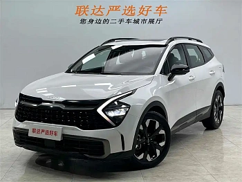 Lion Platinum expands the world 2023 2.0T two-wheel drive flagship version купить на сайте DeffCars