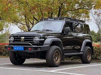 Tank 300 2021 Off-Road Version 2.0T Conqueror купить на сайте DeffCars