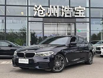 BMW 5 Series 2020 530Li Leading M Sports Package купить на сайте DeffCars