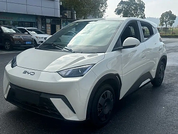 Seagull 2024 Honor Edition 305km Vitality Edition купить на сайте DeffCars