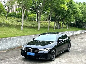 BMW 5 Series 2021 530Li Leading Luxury Package купить на сайте DeffCars