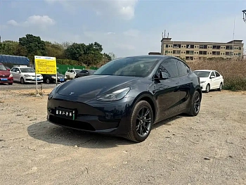 Model Y 2024 rear-wheel drive version купить на сайте DeffCars