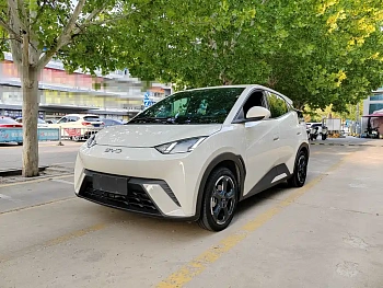 Seagull 2023 Flying Edition купить по цене 1 761 333 ₽  на сайте DeffCars