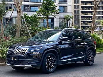 Kodiak 2020 TSI330 5-seater two-wheel drive luxury premium version купить на сайте DeffCars