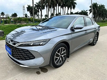 Qin L 2024 DM-i 120KM Leading Model купить по цене 2 248 102 ₽  на сайте DeffCars