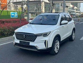 Pentium T33 2019 1.6L automatic interconnected smart cool model National VI купить на сайте DeffCars