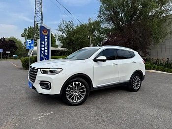 Haval H6 2020 1.5GDIT Automatic Platinum Champion Edition купить по цене 1 786 111 ₽  на сайте DeffCars