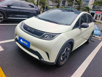 Dolphin 2021 model 405km fashion version купить по цене 1 919 160 ₽  на сайте DeffCars