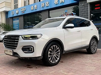 Haval H6 2020 2.0GDIT Automatic Platinum Champion Edition купить по цене 2 233 877 ₽  на сайте DeffCars