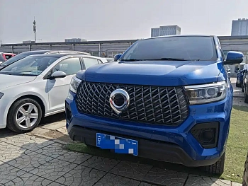 Cannon 2023 2.0T commercial version automatic gasoline four-wheel drive elite standard box GW4C20B купить на сайте DeffCars