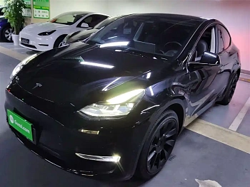 Model Y 2021 standard range rear-wheel drive version купить на сайте DeffCars