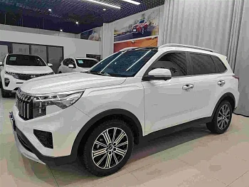Zhipao 2021 Ace 2.0L Wonderful Edition купить на сайте DeffCars