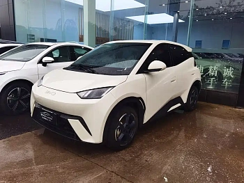 Seagull 2023 Flying Edition купить по цене 1 949 064 ₽  на сайте DeffCars