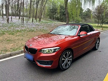 BMW 2 Series Imported 2019 225i Convertible Coupe Sports Design Package купить на сайте DeffCars