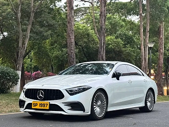 Mercedes-Benz CLS 2020 CLS 300 Dynamic купить на сайте DeffCars