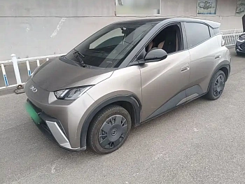 Seagull 2025 305km active version купить на сайте DeffCars