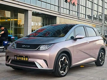 Dolphin 2021 model 405km fashion version купить по цене 1 771 440 ₽  на сайте DeffCars