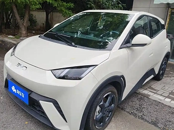 Seagull 2024 Honor Edition 405km Flying Edition купить по цене 1 819 480 ₽  на сайте DeffCars