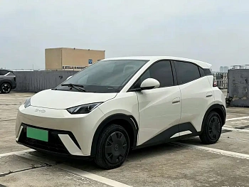 Seagull 2024 Honor Edition 305km Vitality Edition купить на сайте DeffCars