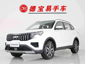 Zhipao 2021 Ace 2.0L Wonderful Edition купить на сайте DeffCars