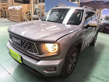 Haval Big Dog PLUS 2023 model 2.0T Two-wheel drive Tide Wild Edition Plus купить по цене 3 124 666 ₽  на сайте DeffCars